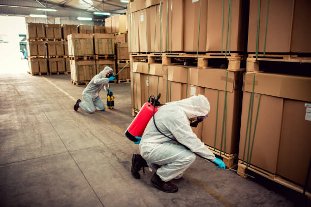 Best Pest Control Near Me in Portage Lakes, OH