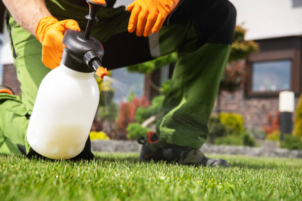 Pest Control for Restaurants in Portage Lakes, OH