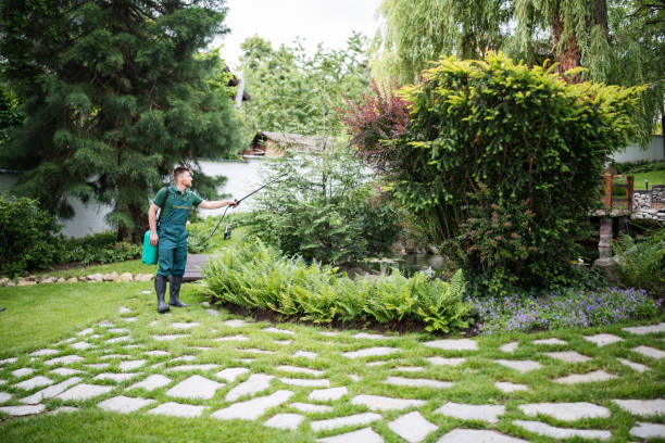 Best Exterminator Services  in Portage Lakes, OH