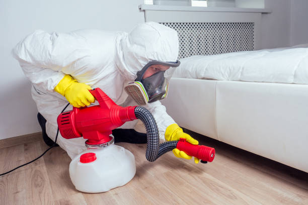 Best Wasp Removal Services  in Portage Lakes, OH