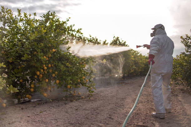 Best Pest Prevention Services  in Portage Lakes, OH