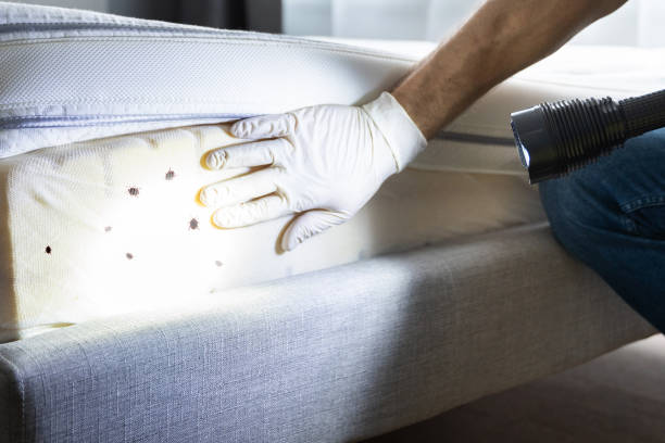 Best Local Pest Control Services  in Portage Lakes, OH