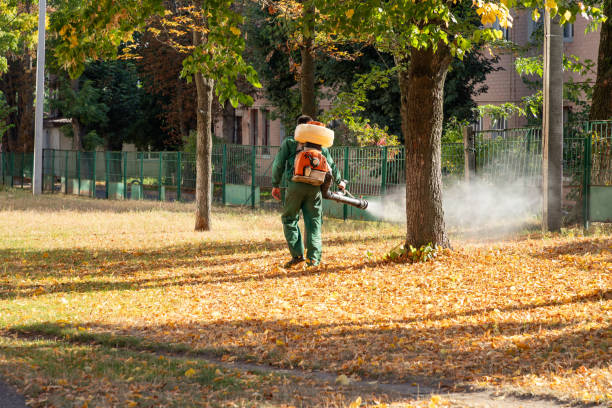 Trusted Portage Lakes, OH Pest Control Experts