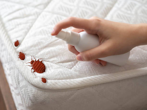  Portage Lakes, OH Pest Control Pros