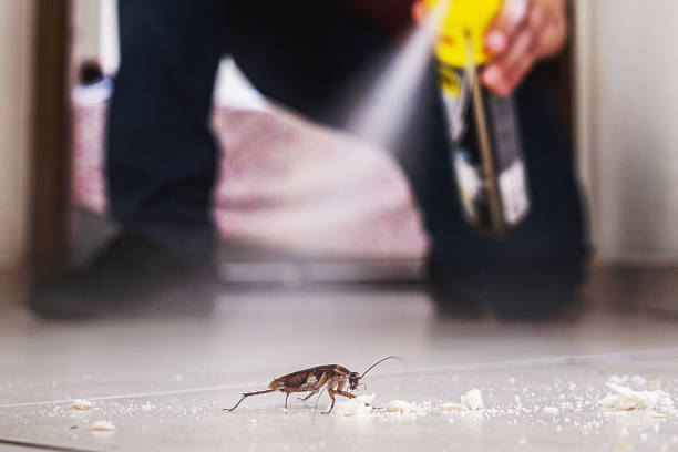 Best Exterminator Services  in Portage Lakes, OH