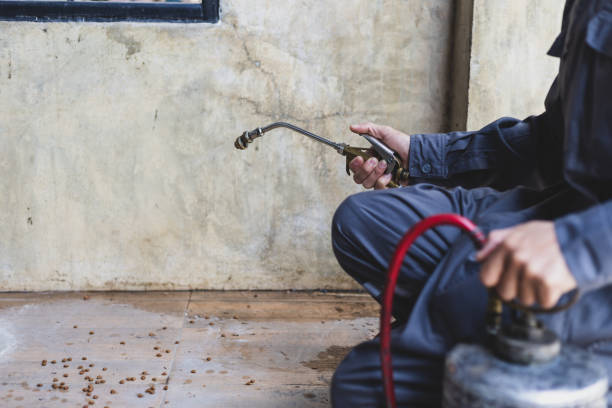 Best Affordable Pest Control Services  in Portage Lakes, OH